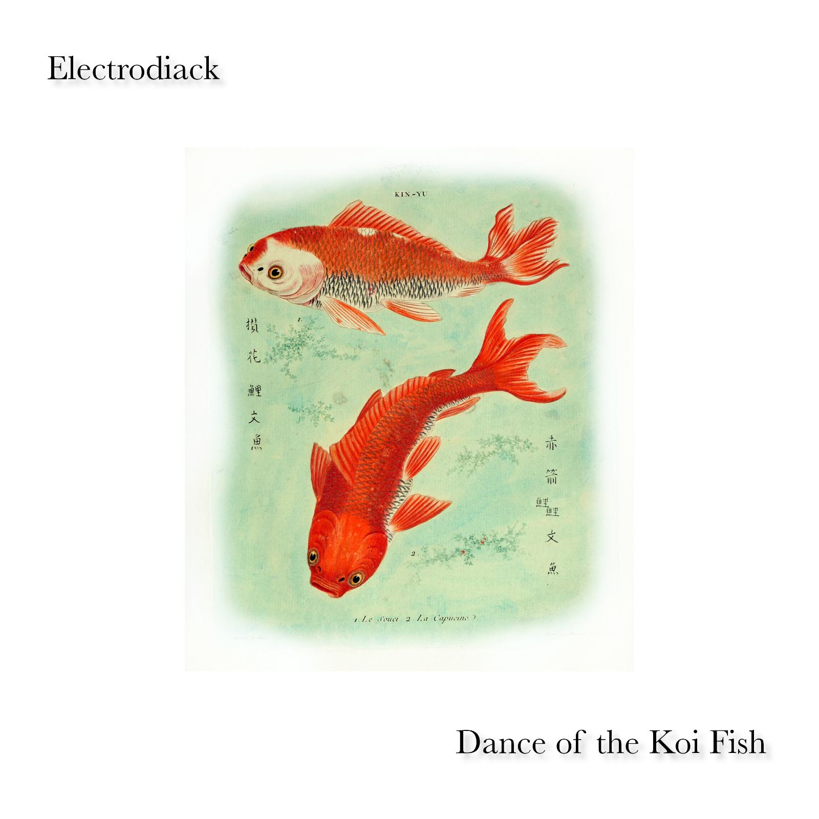 Dance of the Koi Fish